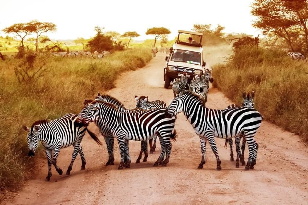 Tanzania luxury escapes